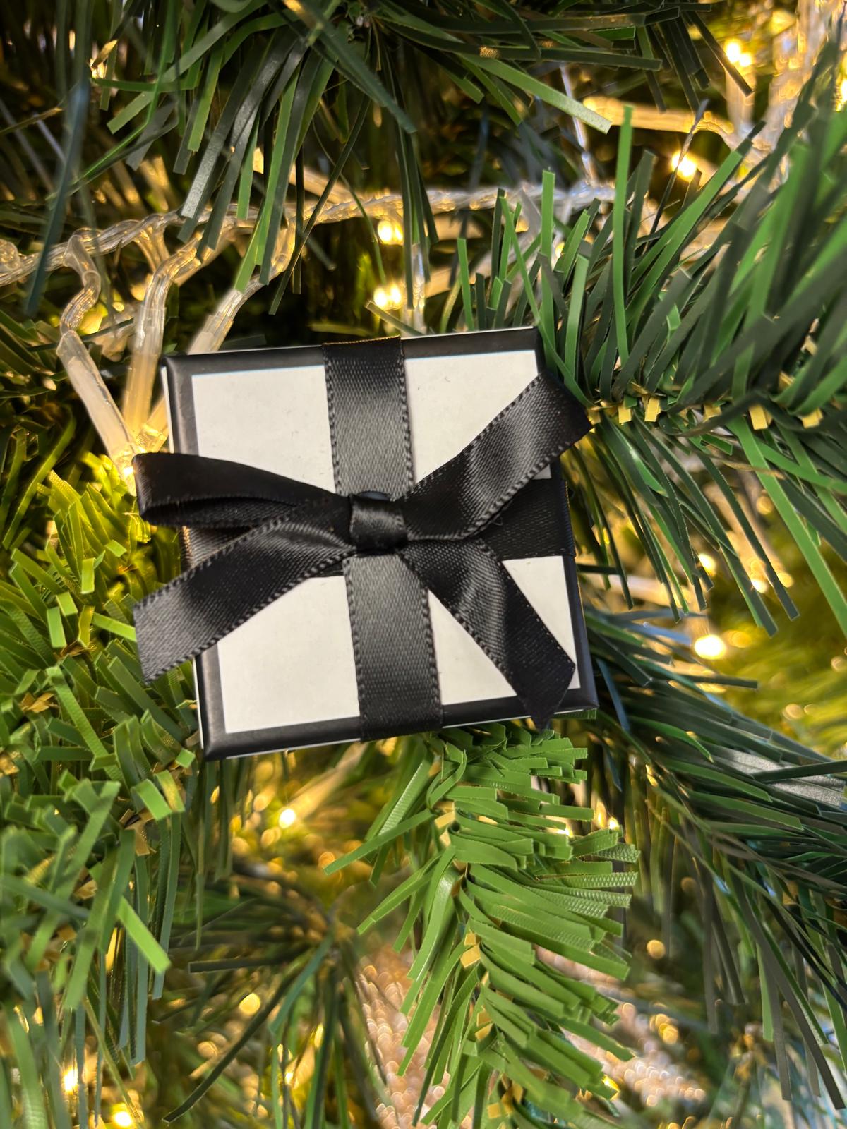 TINA EARRINGS - SILVER