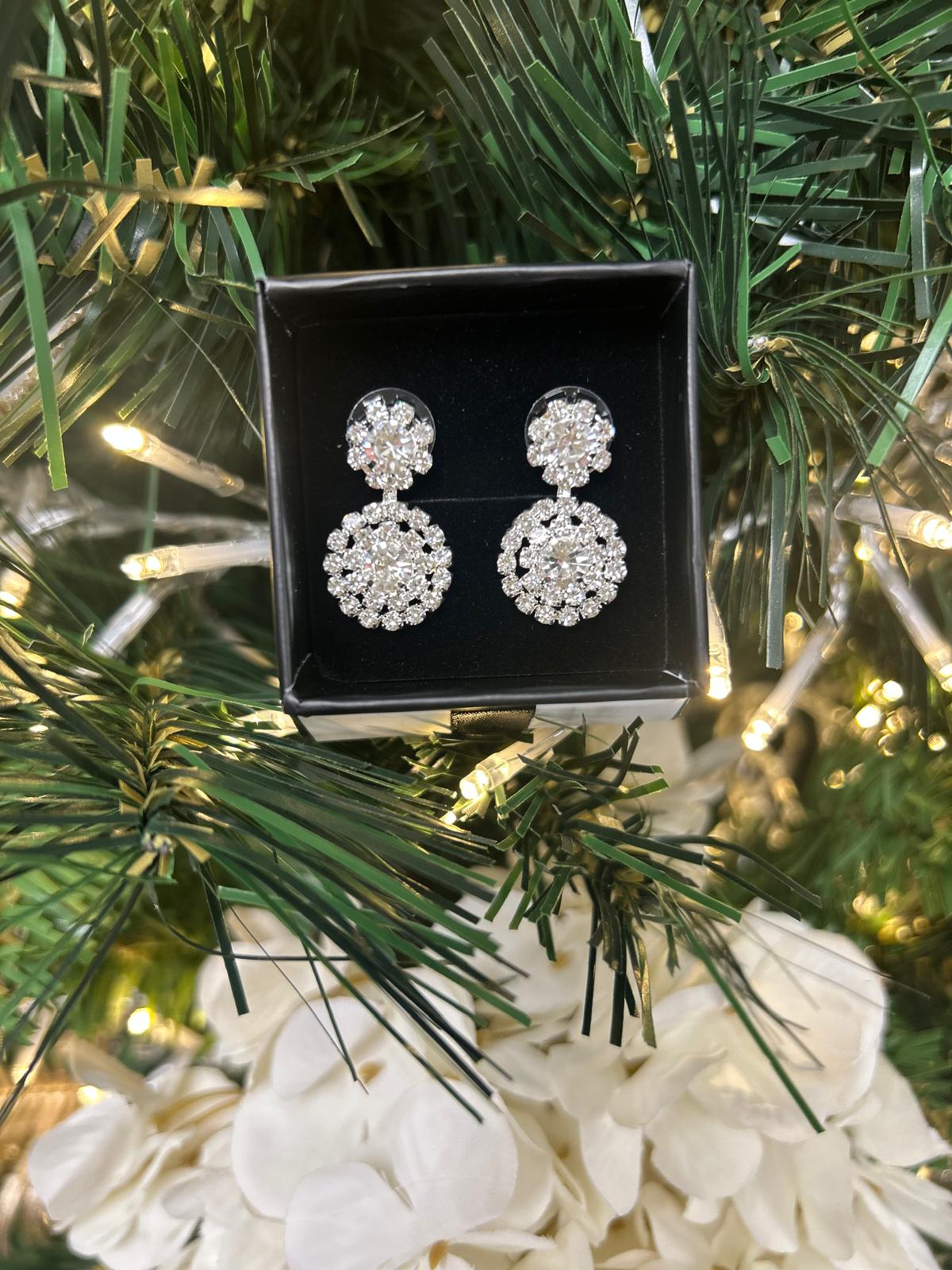 TINA EARRINGS - SILVER