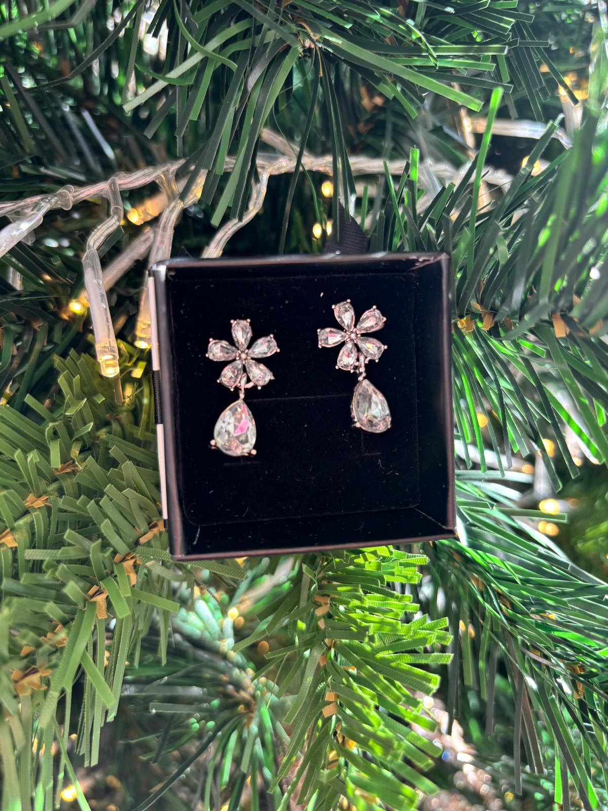 CORA EARRINGS - SILVER